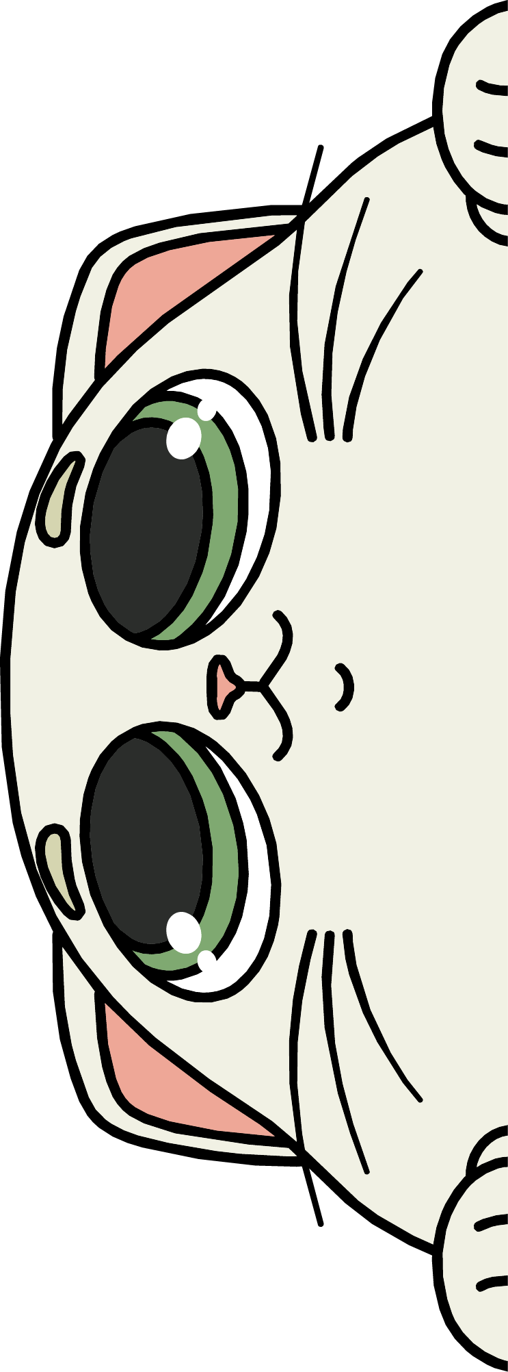 Cute cat peeking